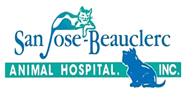 San Jose Beauclerc Animal Hospital